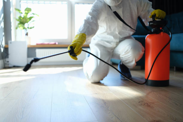 Reliable Biohazard Cleanup contractor in Huntington, TX by Crime Scene Cleaner Online